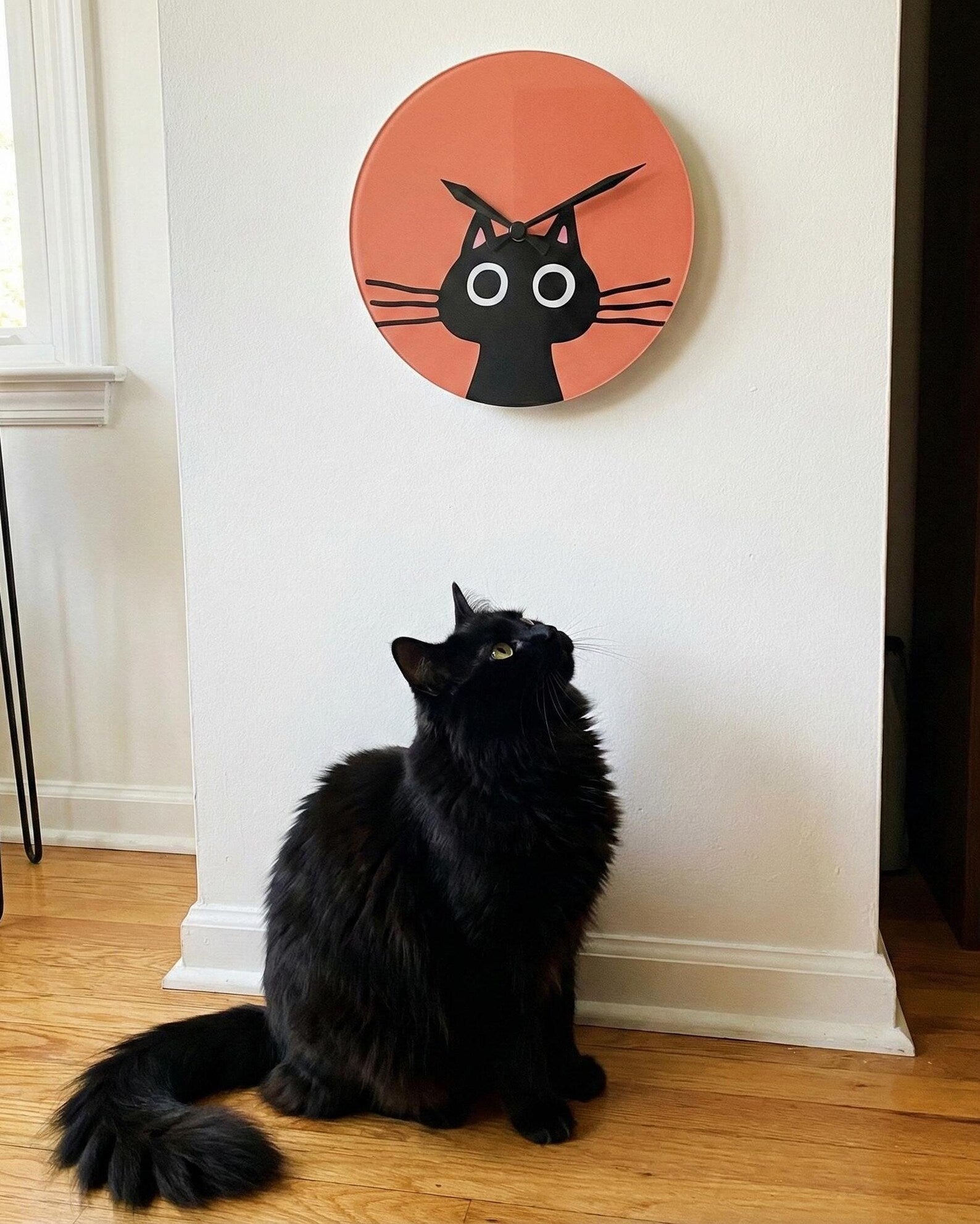 Premium Pleksi Duvar Saati – Eğlenceli Kara Kedi Tasarımı ve Sessiz Mekanizma